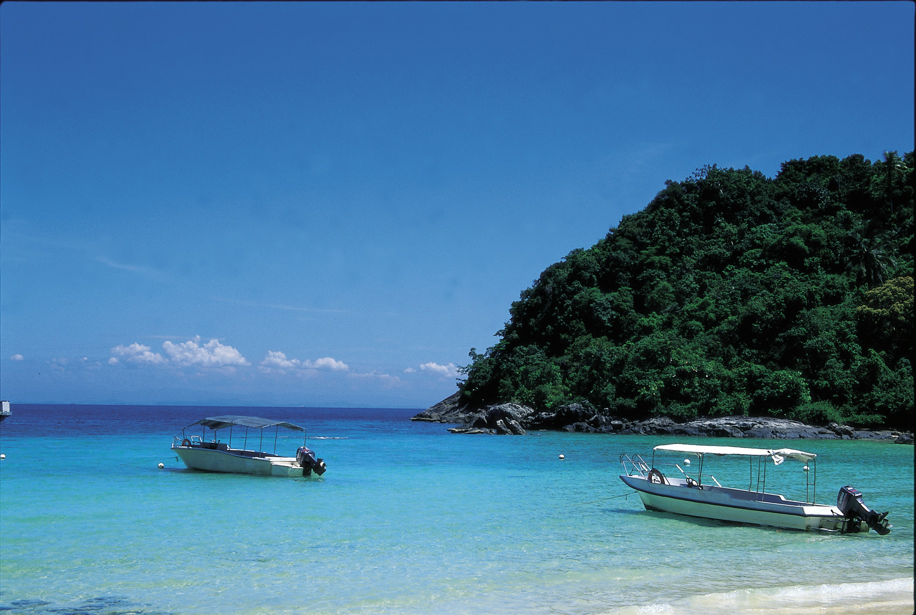 Diving in Tenggol Island