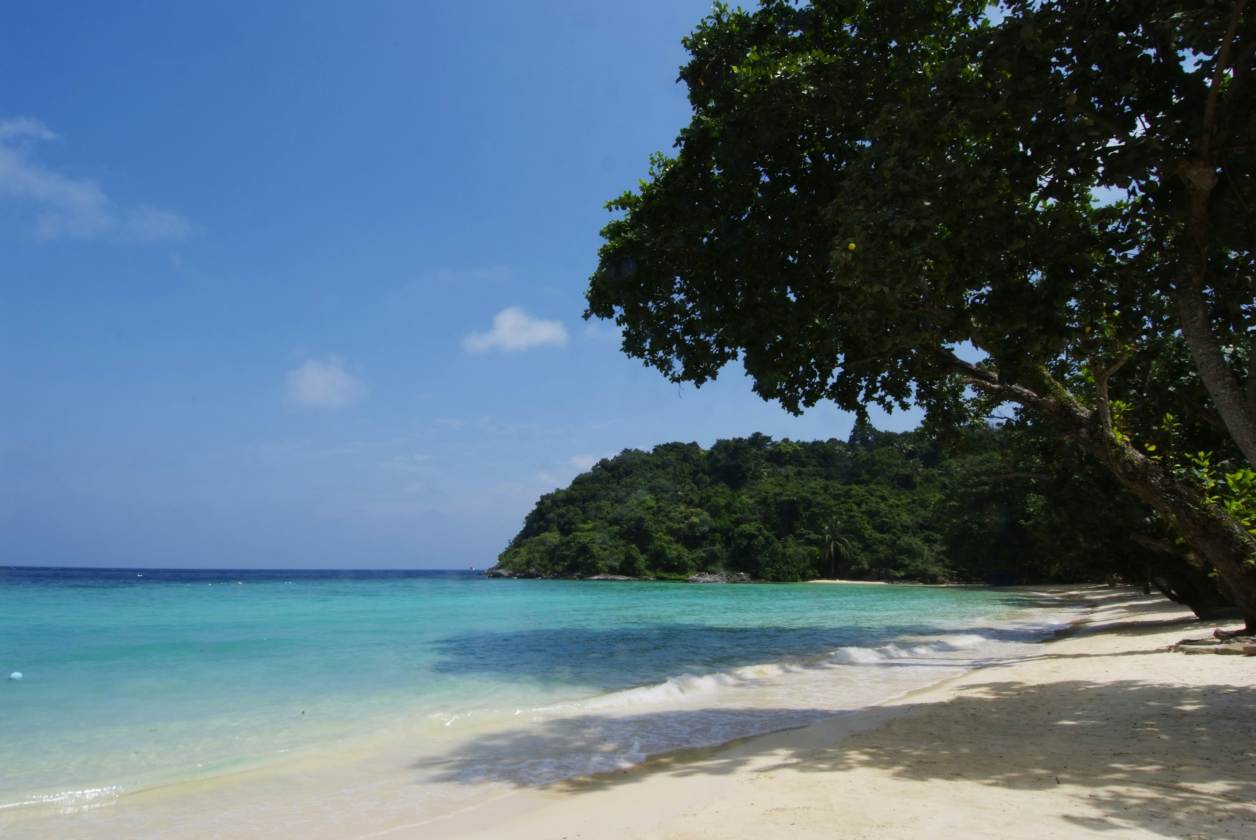 Diving in Tenggol Island