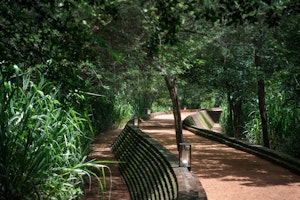 Pathway