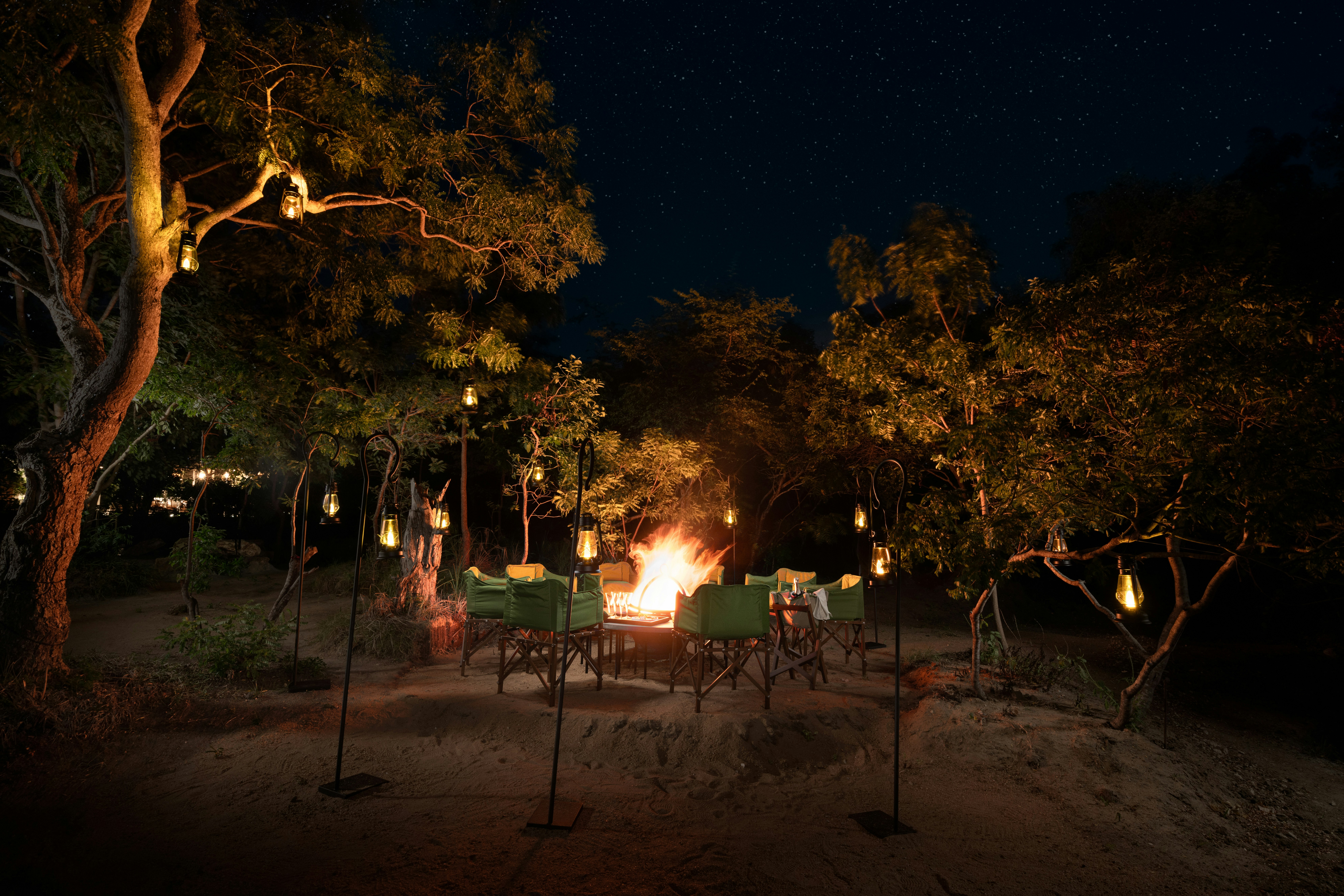 Outdoor Dining Experience