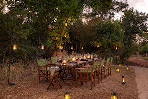 Outdoor Dining Experience
