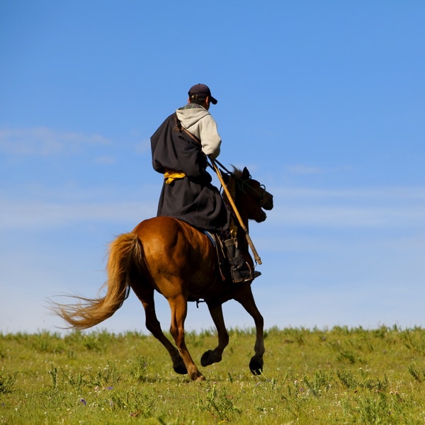 Mongolian horse and rider in front of the hotel