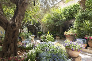 An Oasis