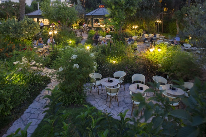 The Summer Bar