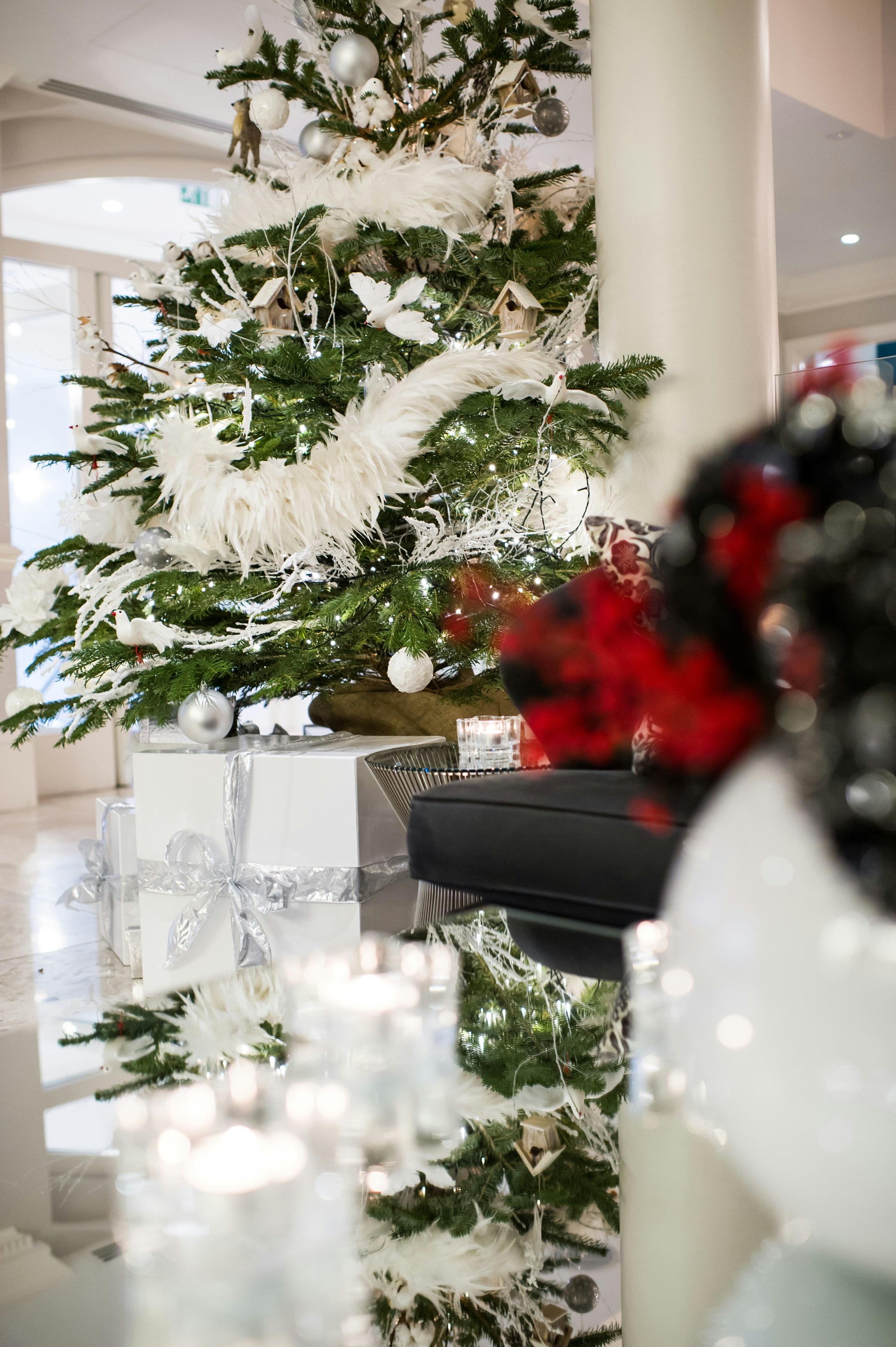 Ampersand Xmas Amy Murrell