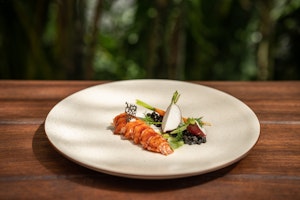Dish