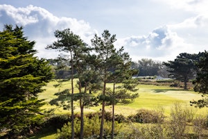 Golf View Room - View
