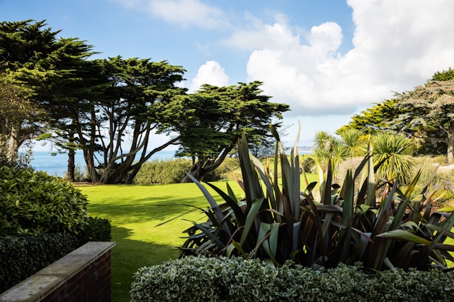 Garden Studio - View