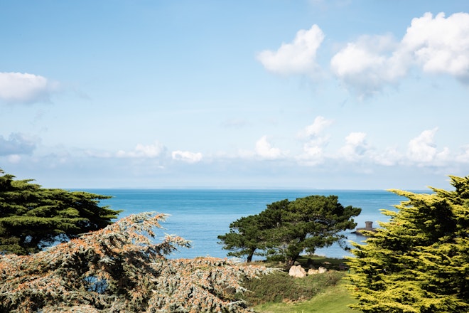 Ocean View Room - View