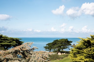 Ocean View Room - View