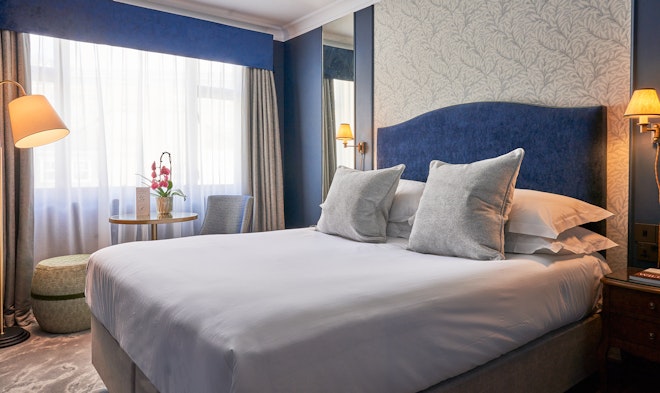 Standard Queen Room - Bedroom
