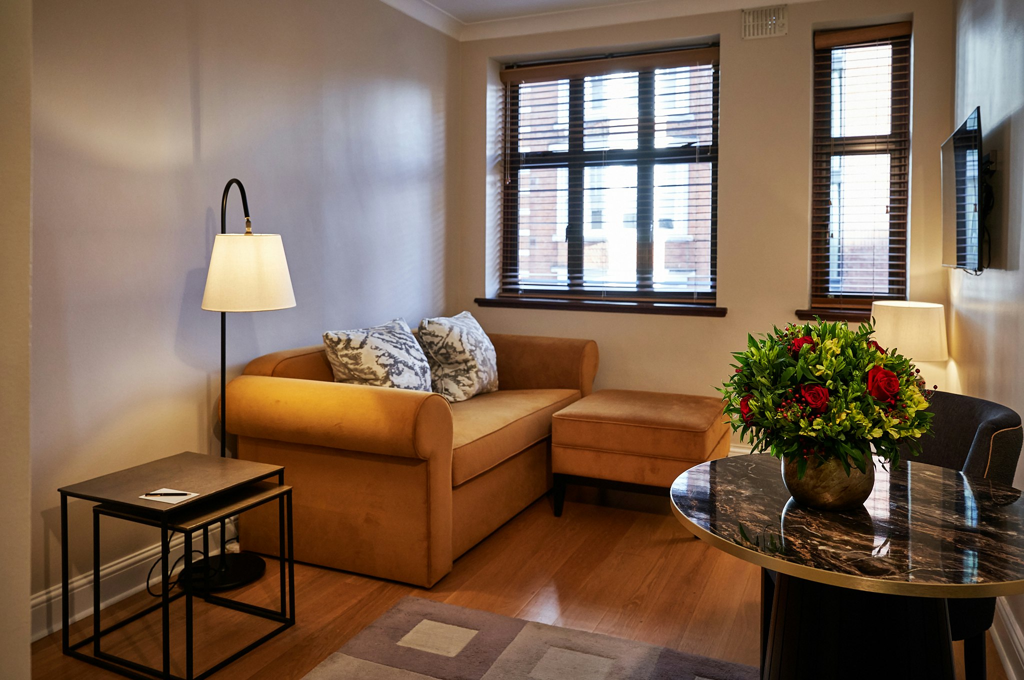 One Bedroom Apartment - Living Area