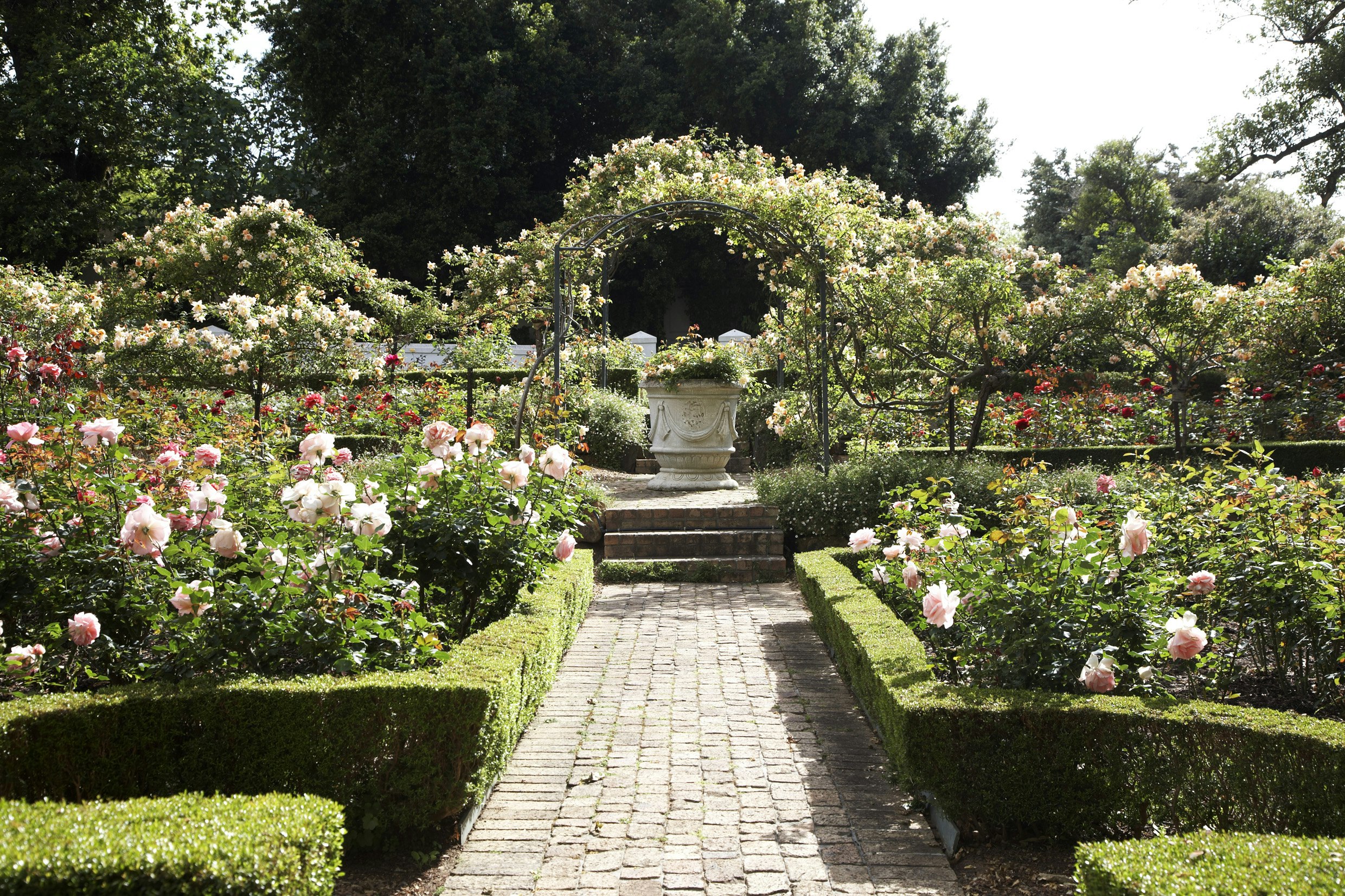 Rose Garden