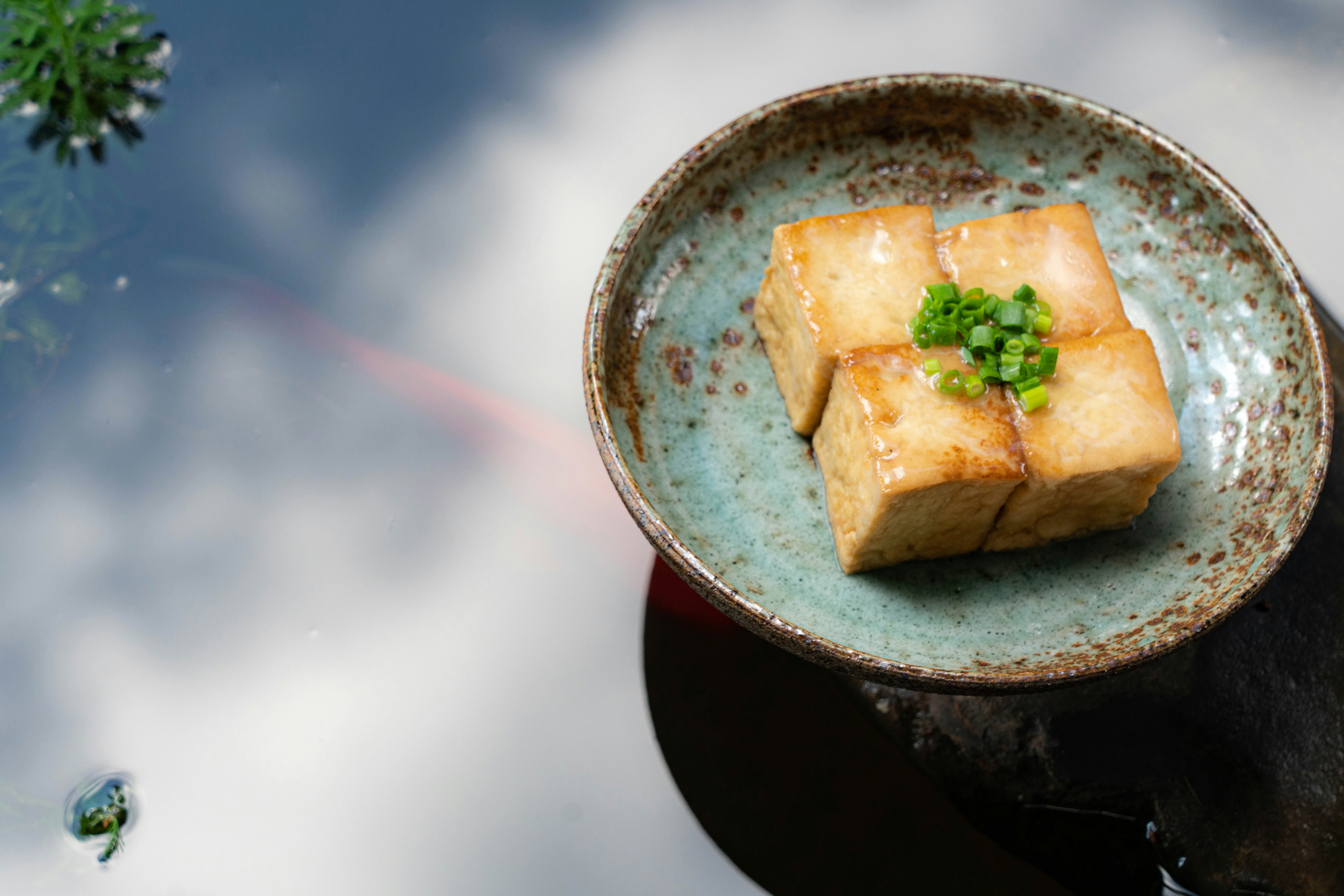 Braised Local Farm Tofu