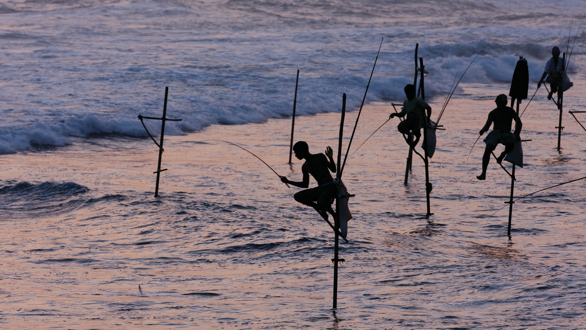 Stilt Fisherman