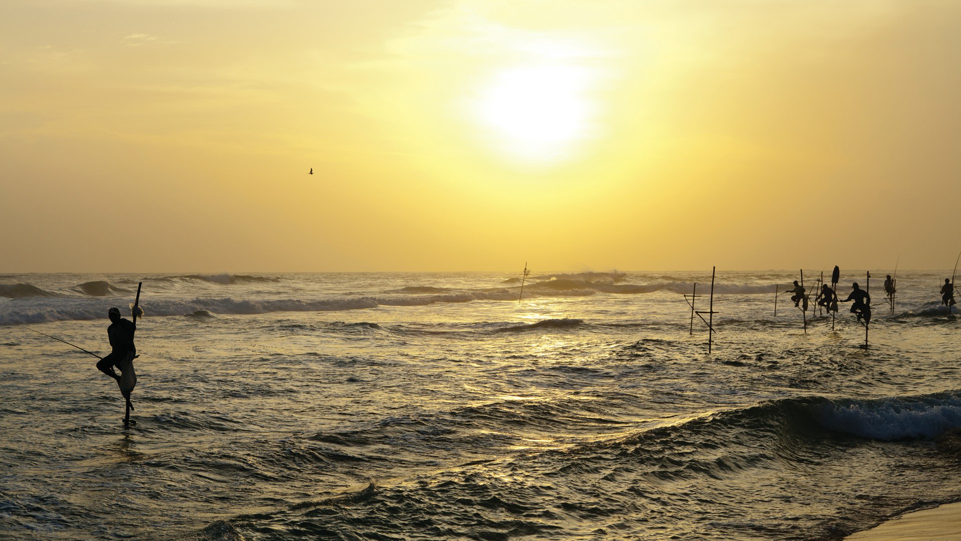 Stilt Fisherman - Sunset