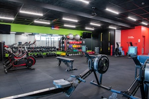 Thrive Performance and WEllbeing