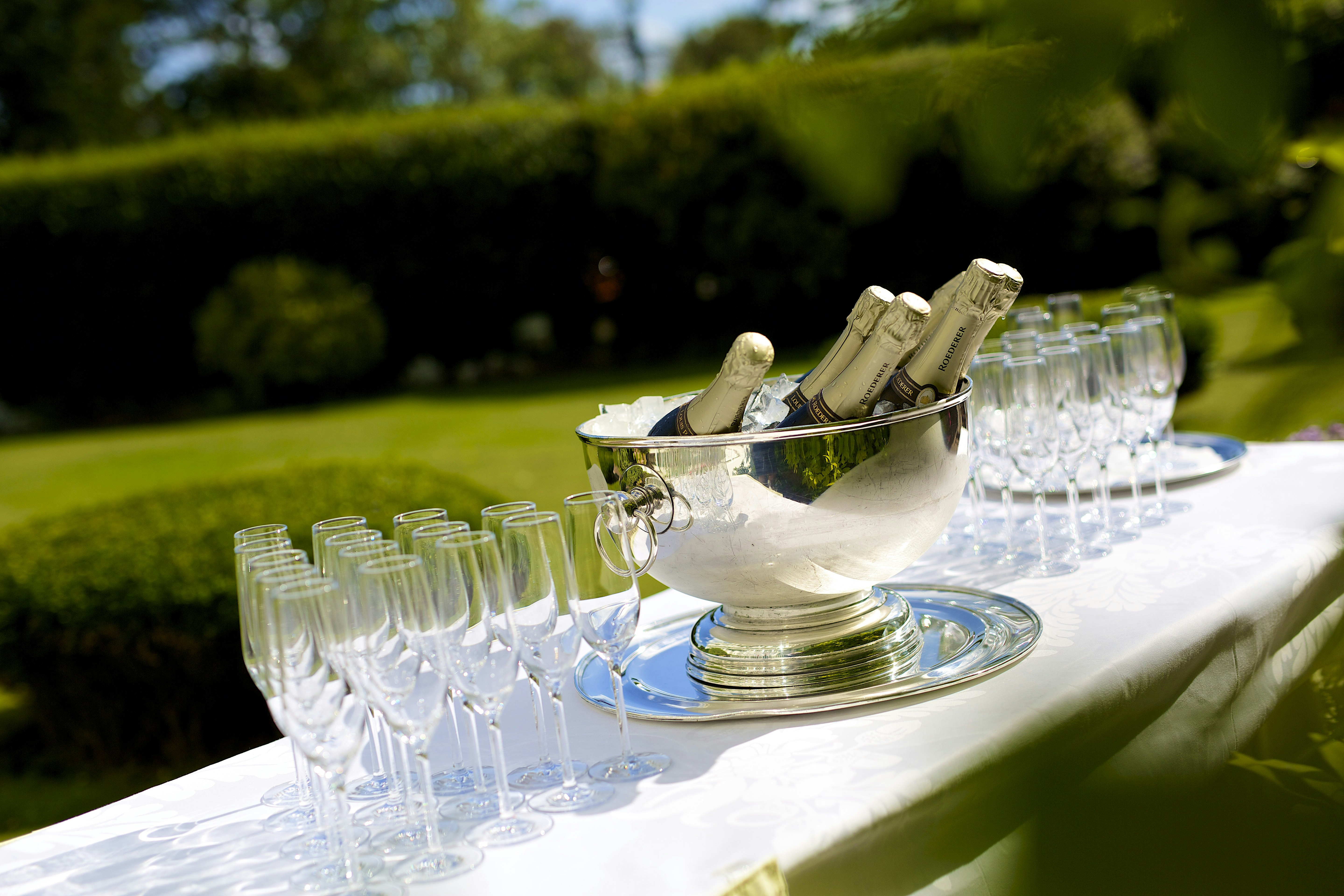 Champagne on the Lawns