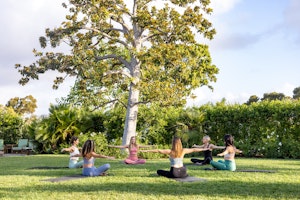 Complimentary Wellness Classes