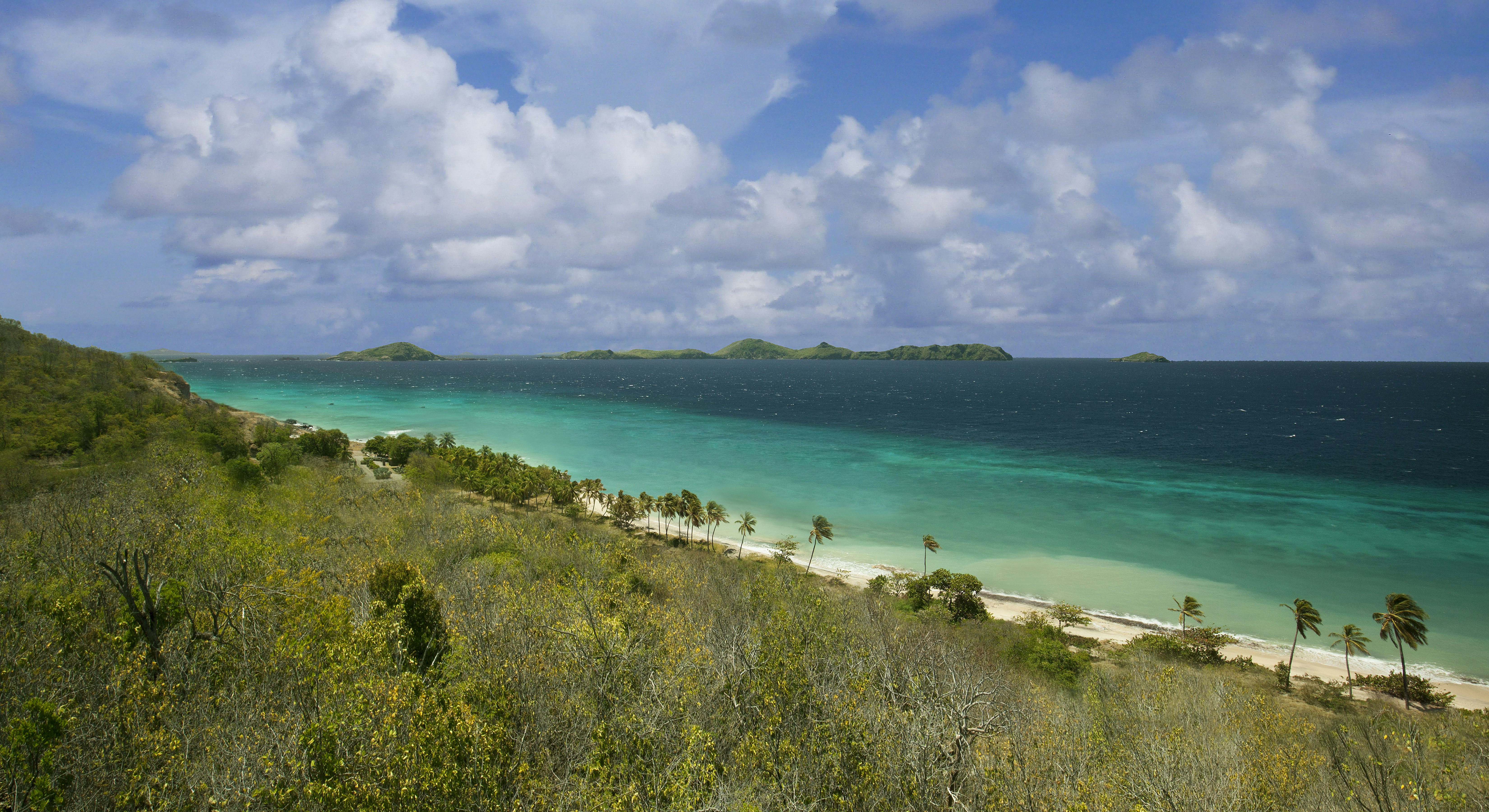 View From Gingerlily