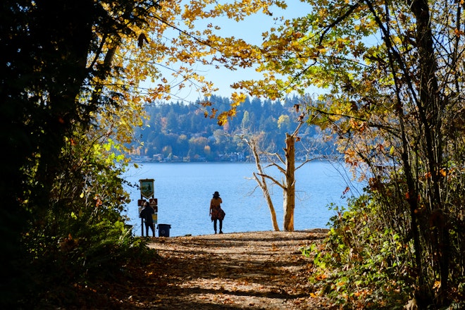 Shore of Lake Washington
