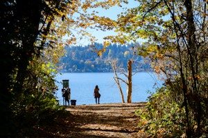 Shore of Lake Washington