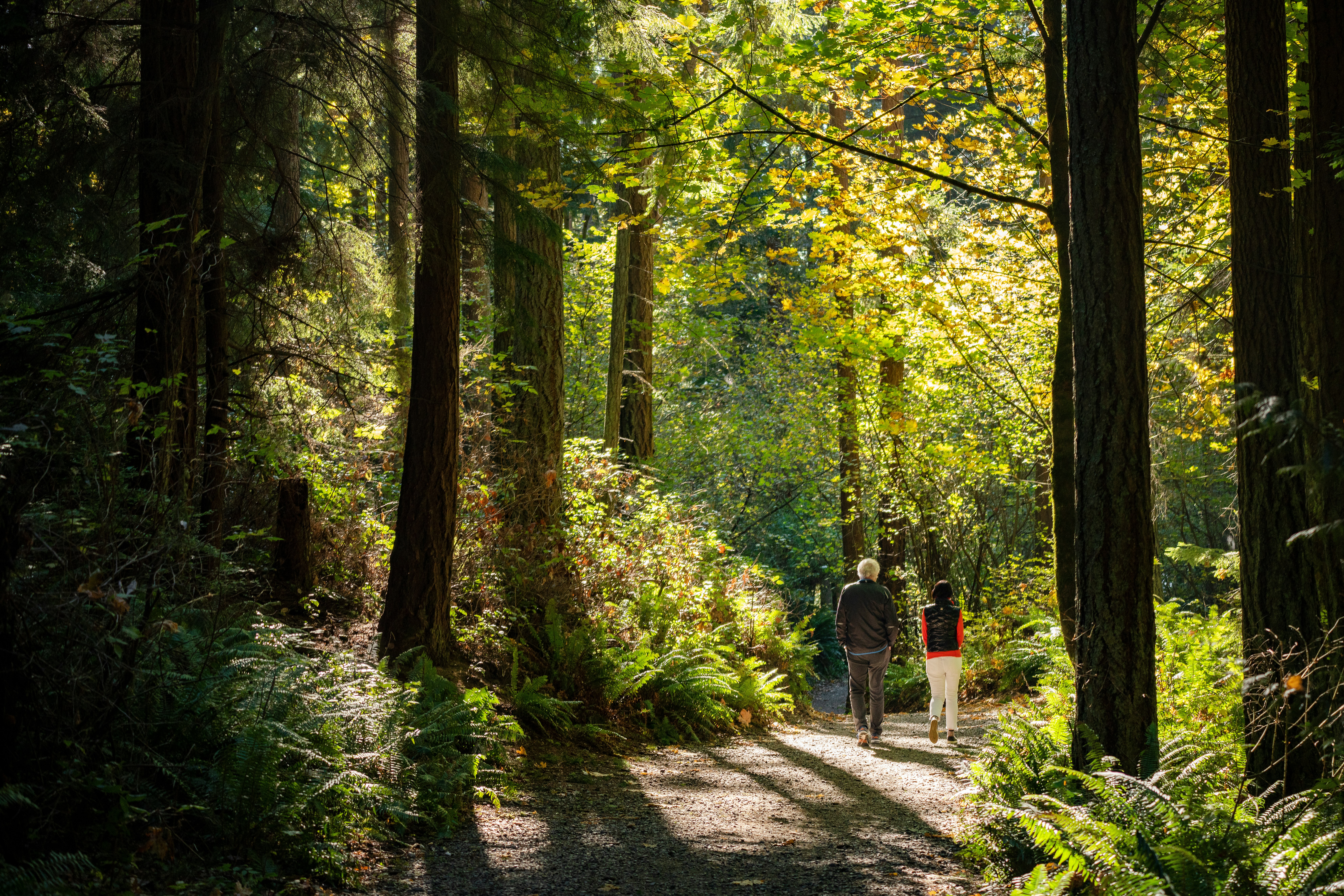 Saint Edwards State Park Trail