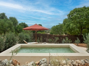 Deluxe Suite with Private Pool - Pool