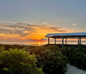 The Beach Bar