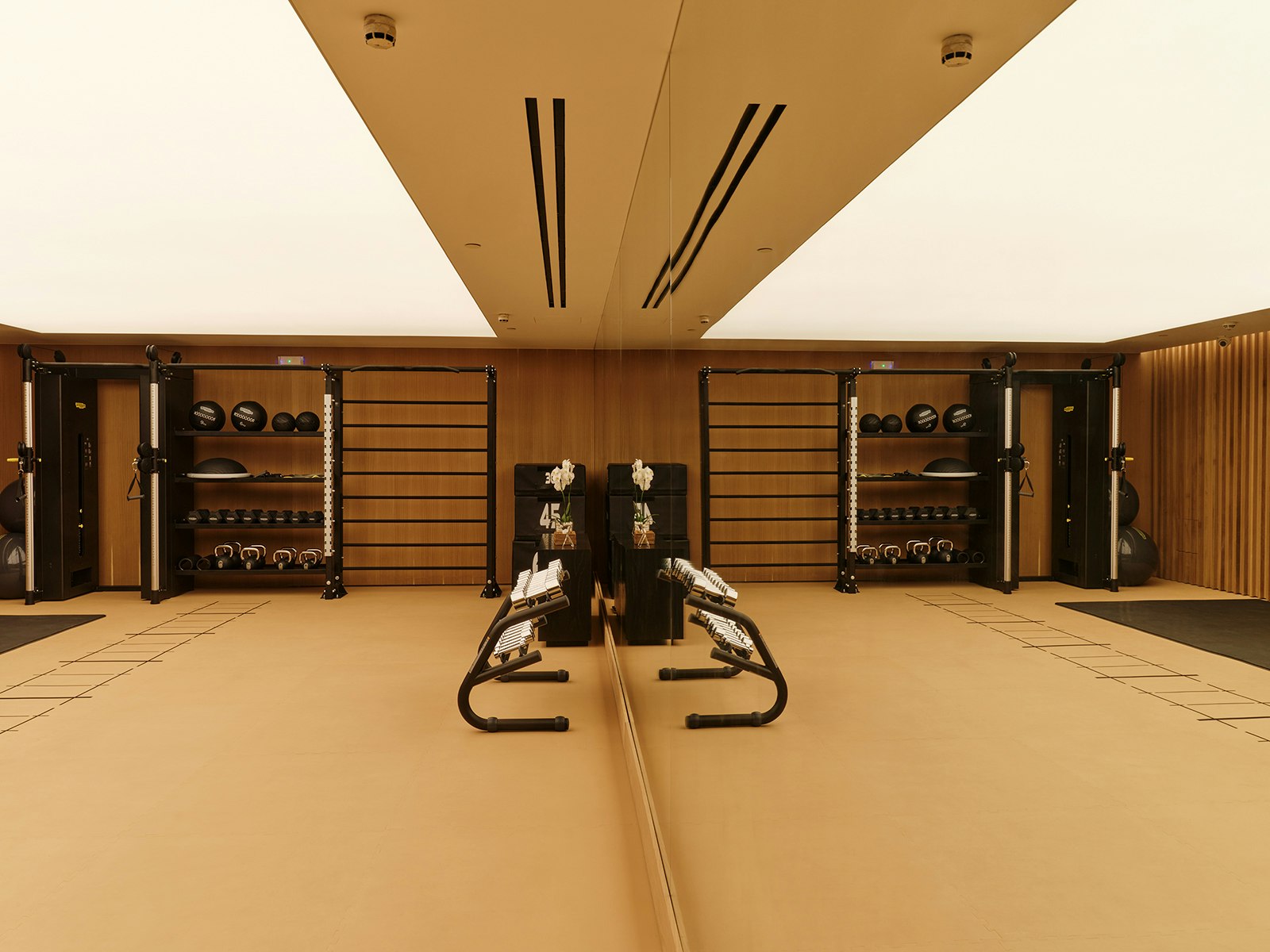 Fitness Suite