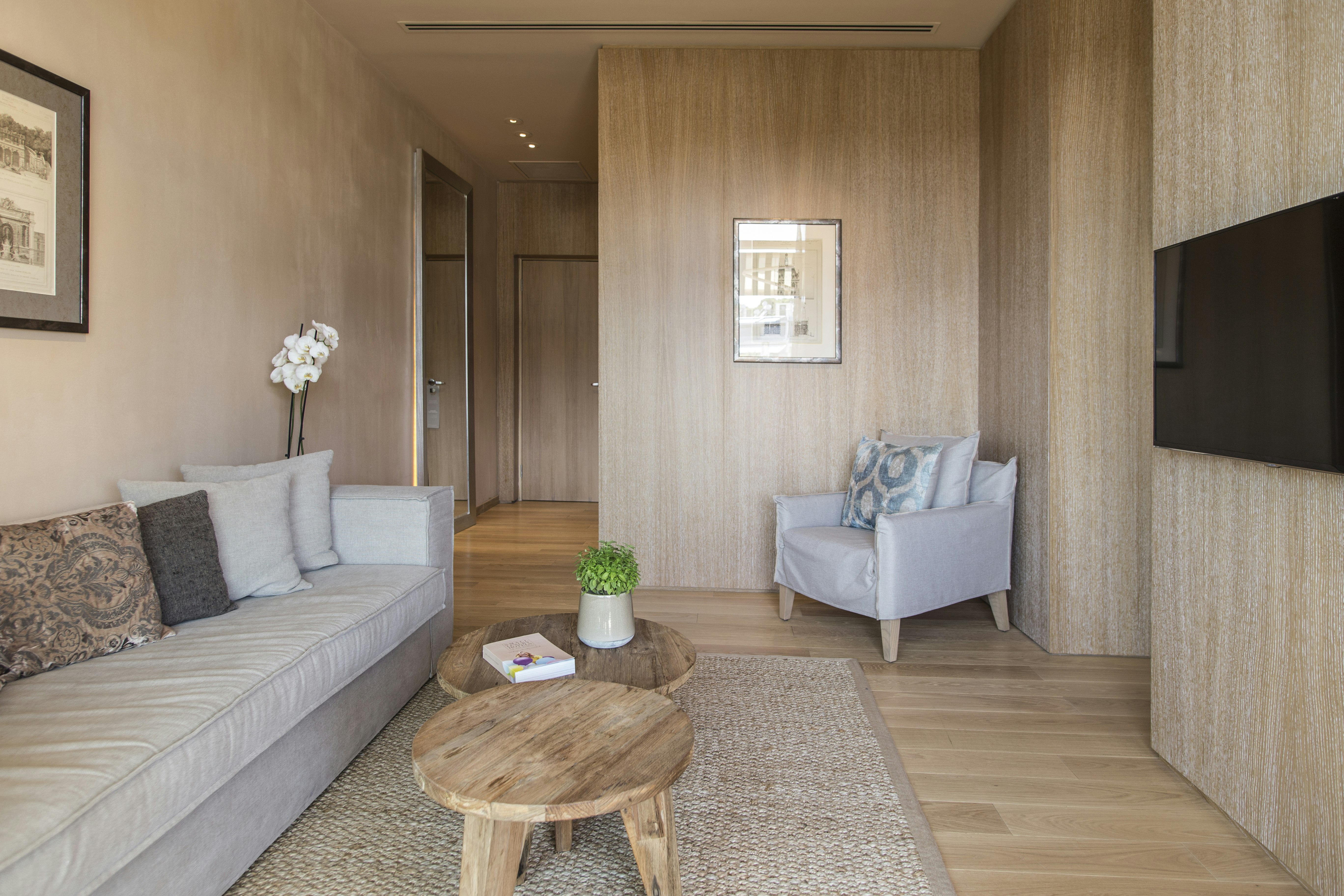 Deluxe Suite - Living Area