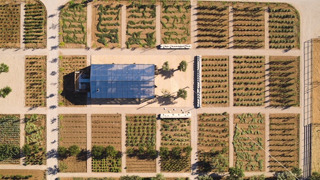 The Margi Farm
