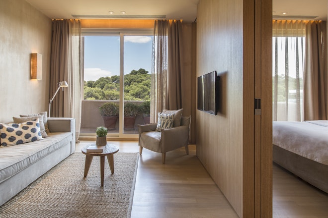 Executive Suite - Room Details