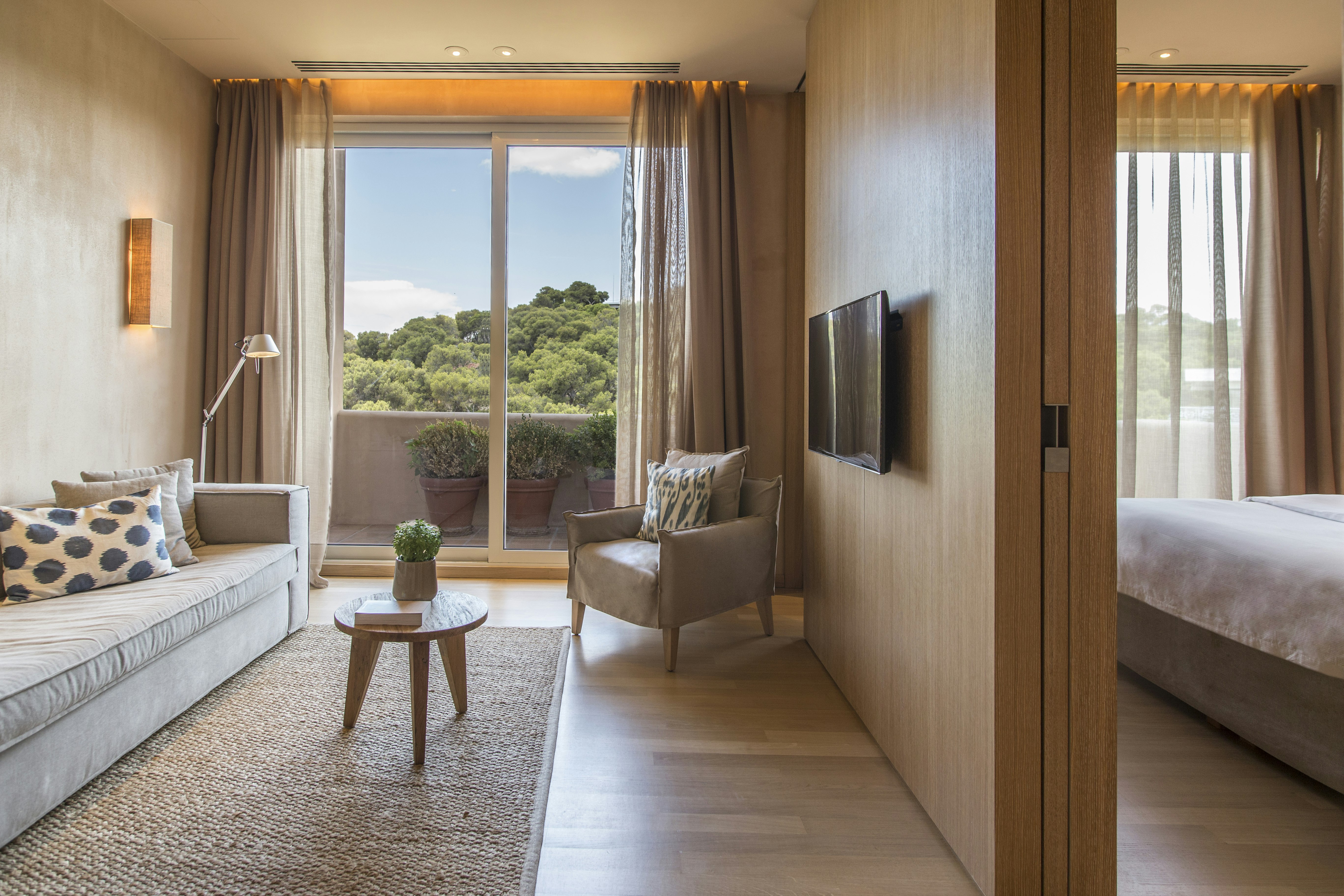 Executive Suite - Room Details