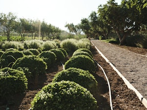 The Margi Farm