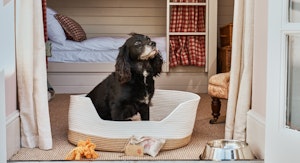 Pet Friendly Room