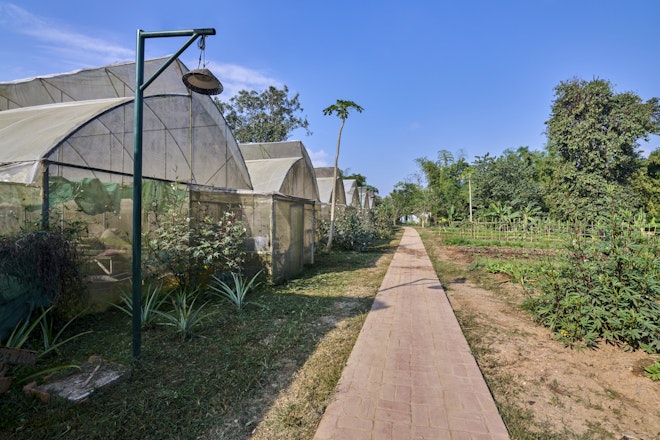 Organic Farm