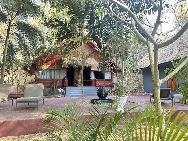 Jungle Spa