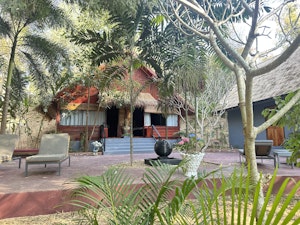 Jungle Spa