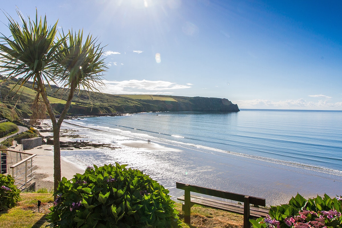 Carne Beach and Nare Head