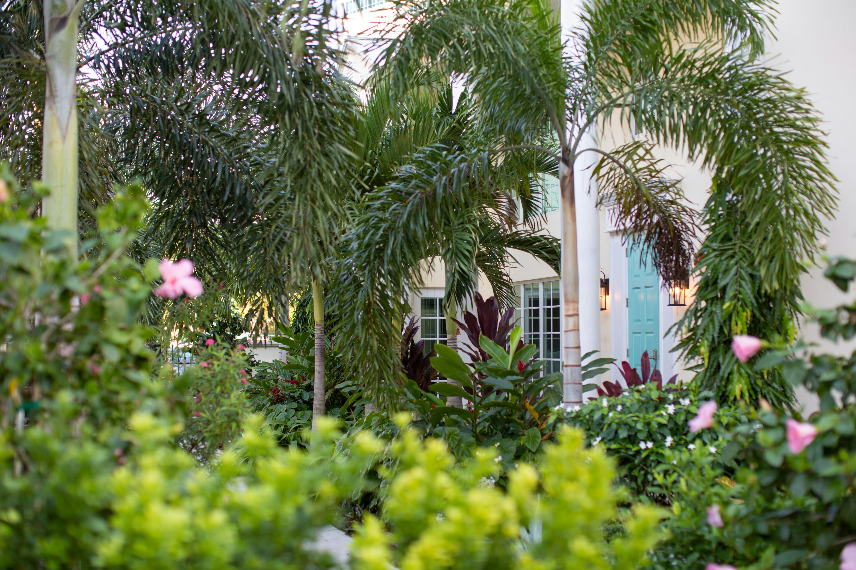 Front Garden Birch House Annex