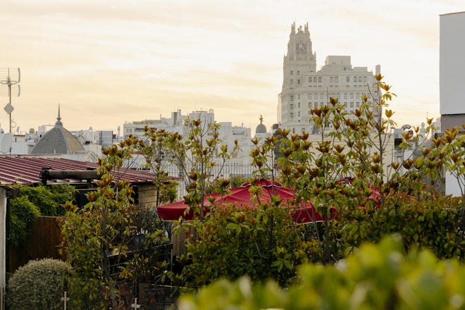 View from The Principal Madrid