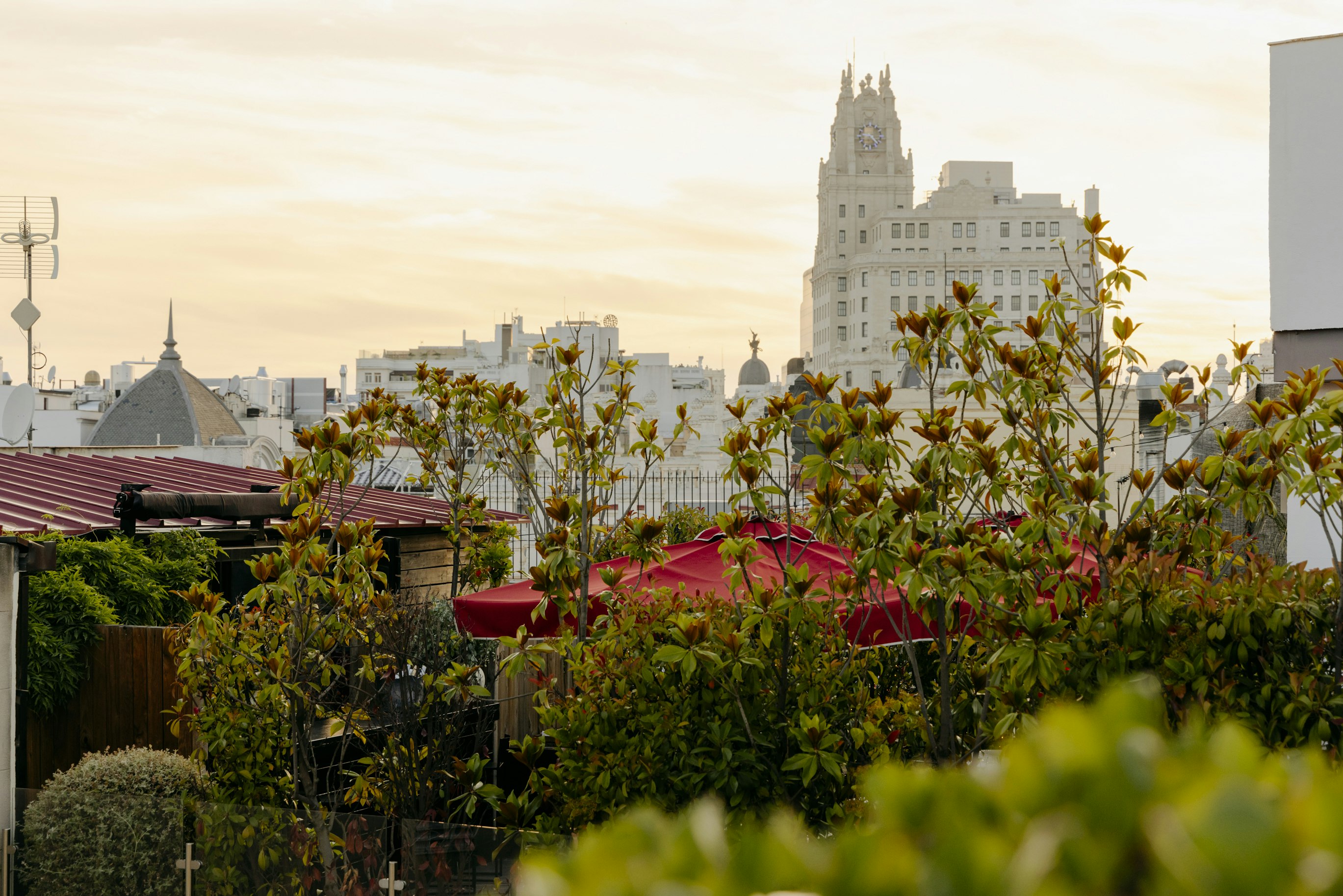 View from The Principal Madrid