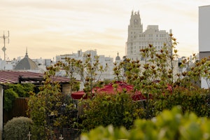View from The Principal Madrid