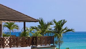 Tree Top Suite Balcony