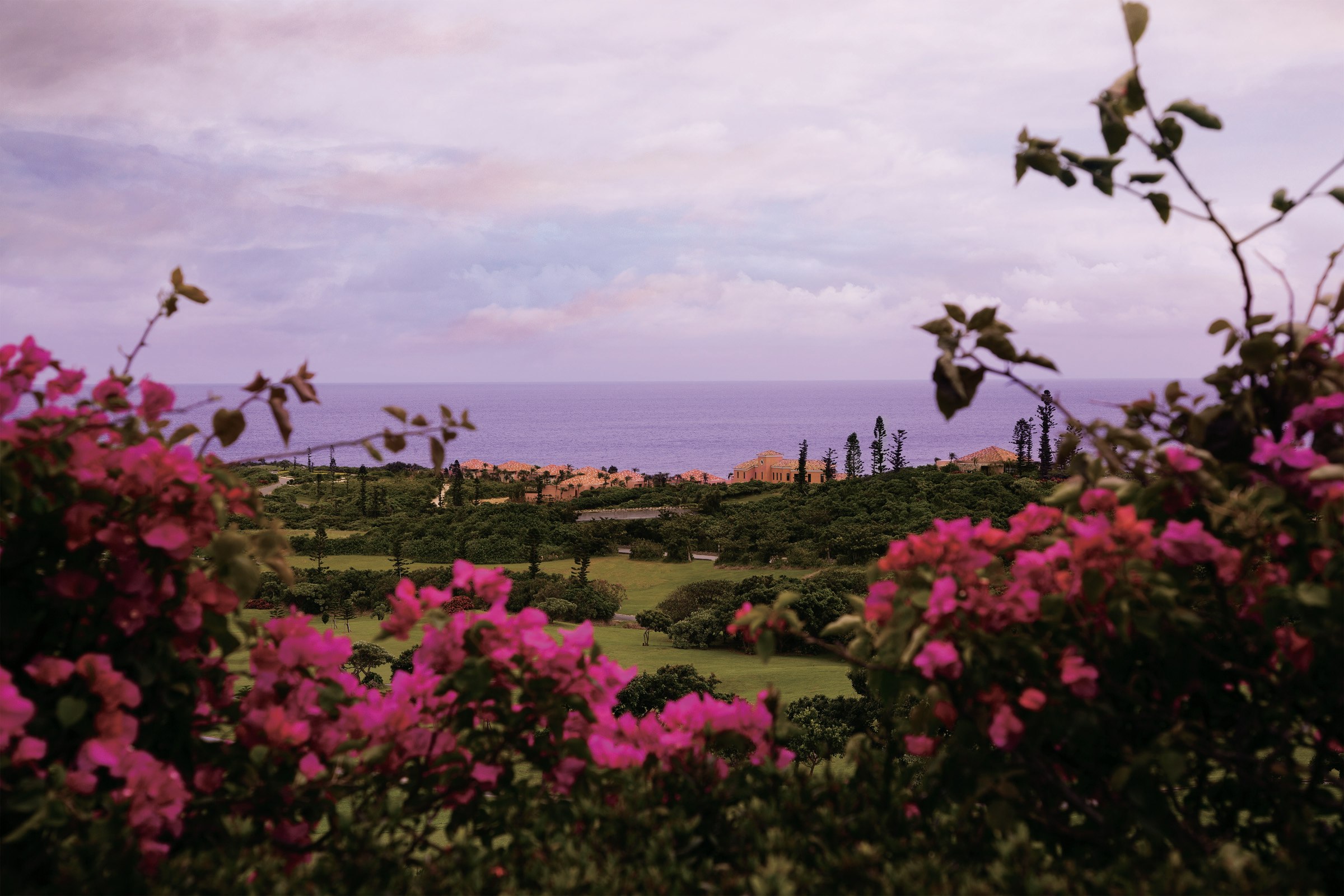 The Shigira Exterior