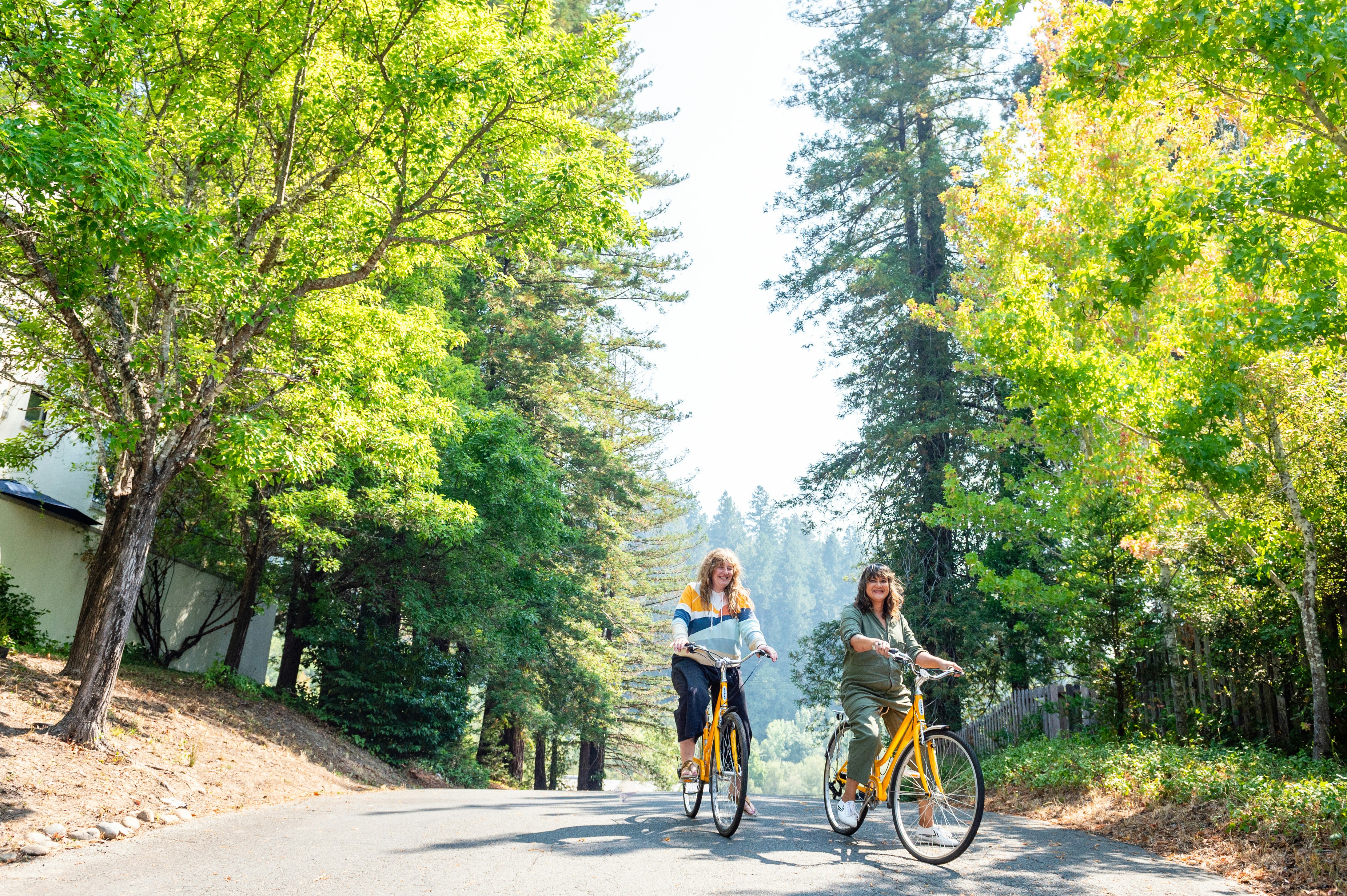Complimentary Bicycles