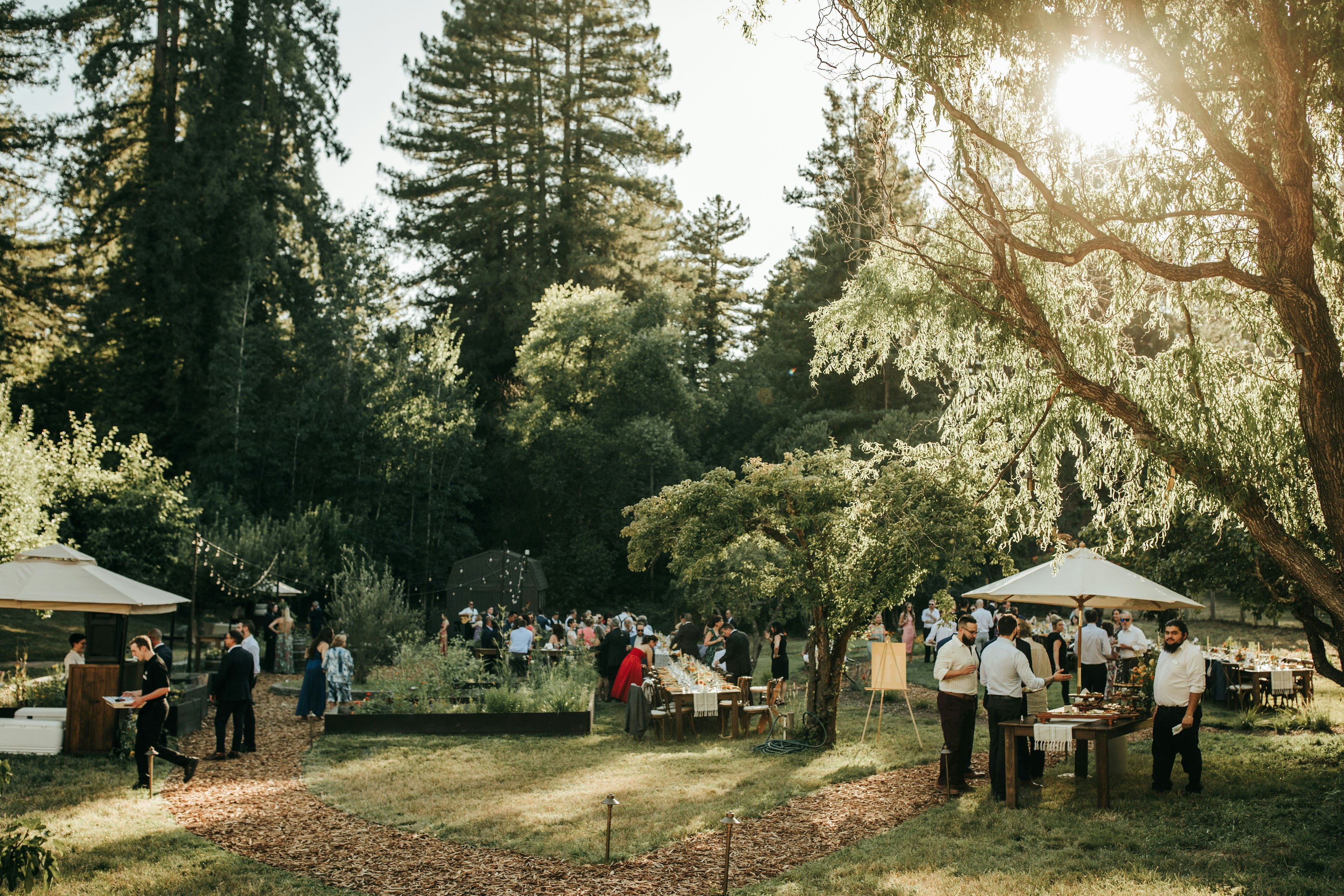 Wedding - Chef's Meadow Reception