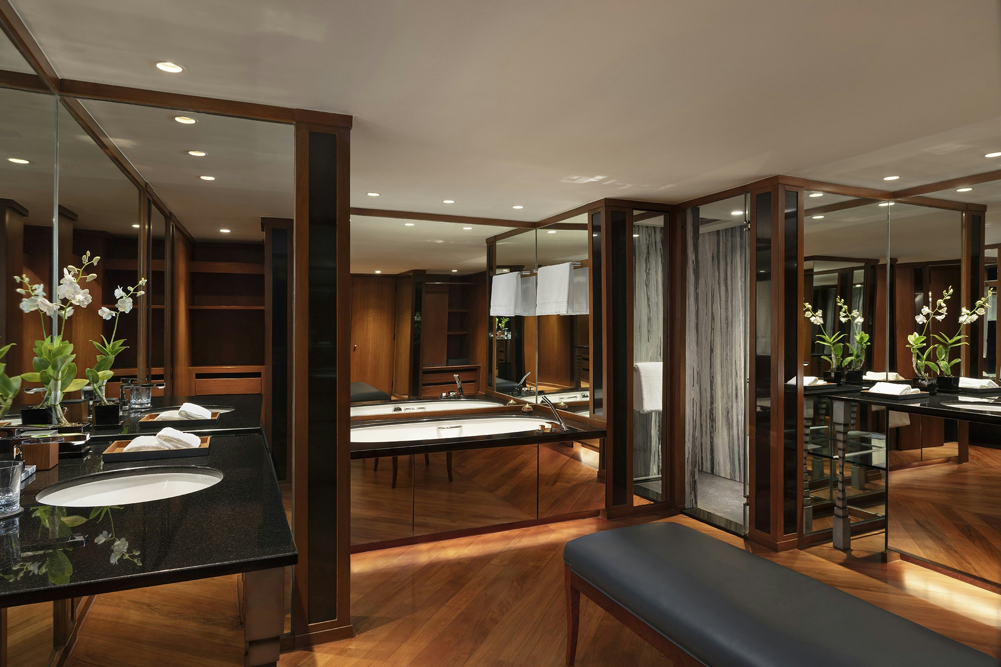 Deluxe Suite - Bathroom