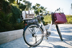 Complimentary Electric Bike